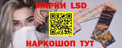 мдпв Кингисепп