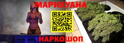 мдпв Кингисепп