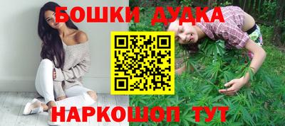 мдпв Кингисепп