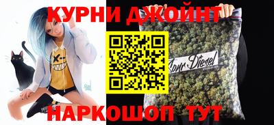 мдпв Кингисепп