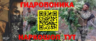 мдпв Кингисепп